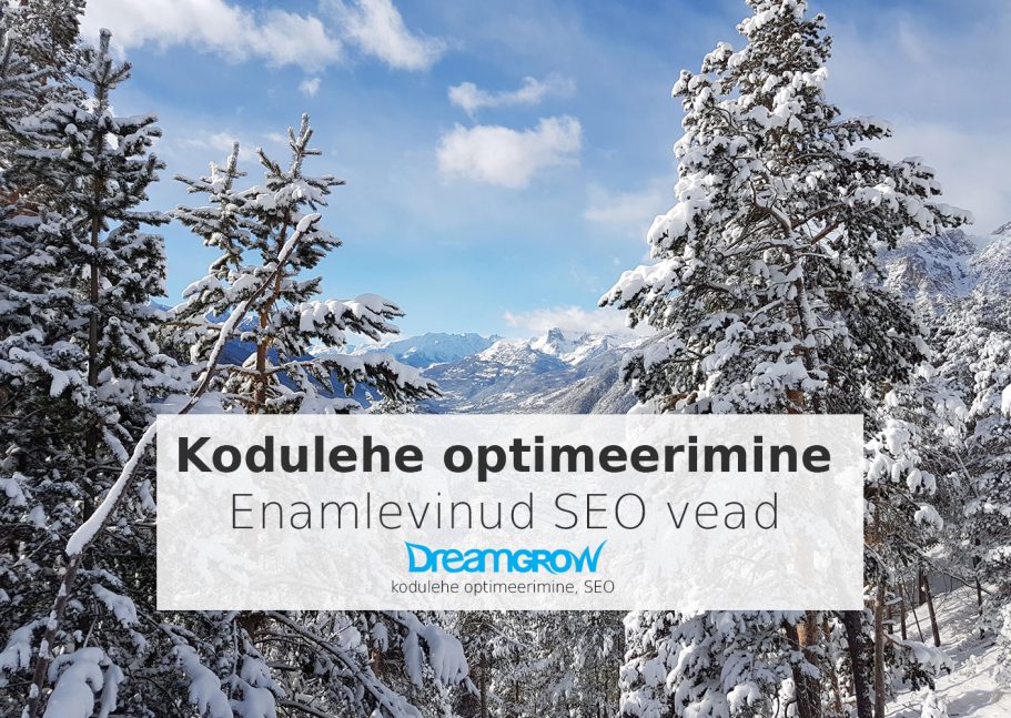 kodulehe optimeerimine enamlevinud vead