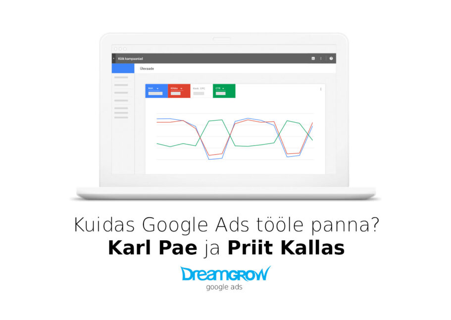 google ads haldus